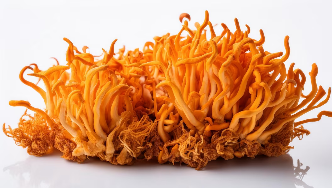 Top 10 Health Benefits of Cordyceps: Why This Mushroom Is a Superfood