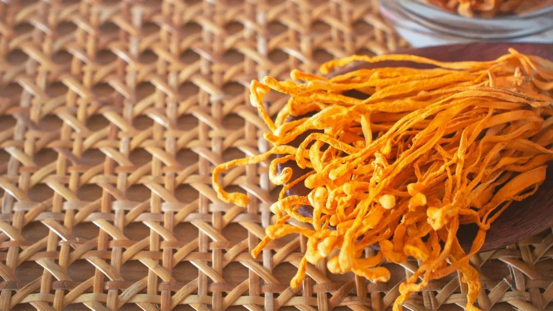 Cordyceps and Energy: How This Mushroom Boosts Stamina and Athletic Performance